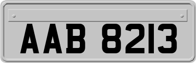 AAB8213