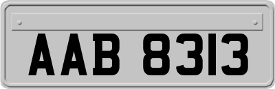 AAB8313