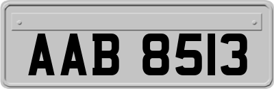 AAB8513