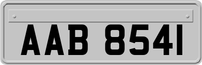 AAB8541