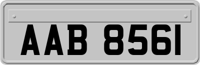 AAB8561