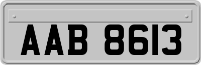 AAB8613