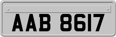 AAB8617