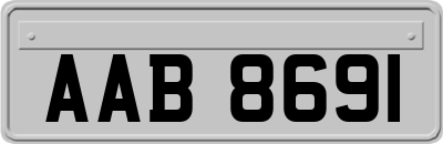 AAB8691