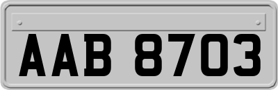 AAB8703