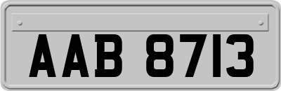 AAB8713