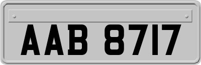 AAB8717