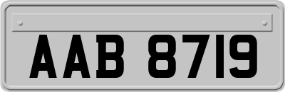 AAB8719