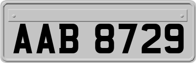 AAB8729