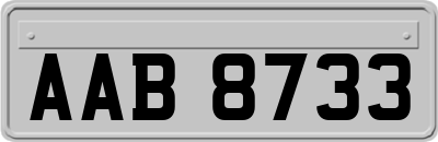 AAB8733