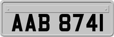 AAB8741