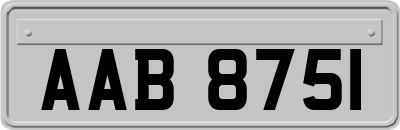 AAB8751