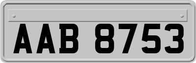 AAB8753