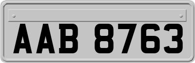 AAB8763