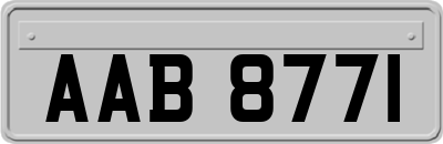 AAB8771