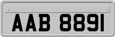 AAB8891