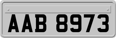 AAB8973