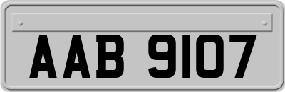 AAB9107