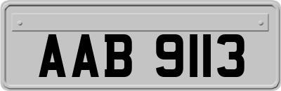 AAB9113