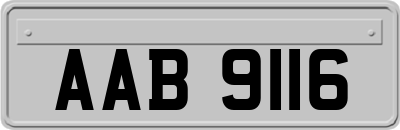 AAB9116