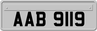 AAB9119