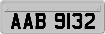 AAB9132