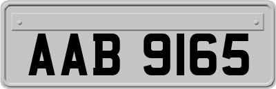 AAB9165