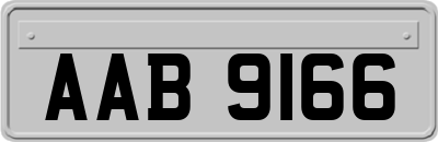 AAB9166