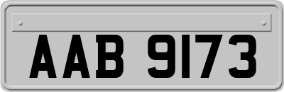 AAB9173