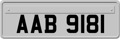 AAB9181