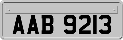 AAB9213