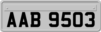 AAB9503