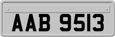 AAB9513