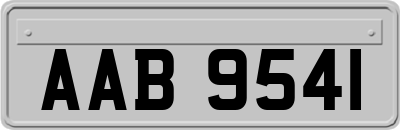 AAB9541