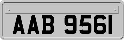 AAB9561