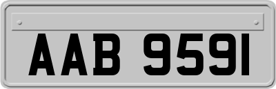 AAB9591