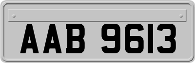 AAB9613