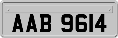 AAB9614