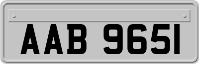 AAB9651