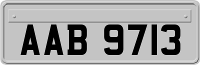 AAB9713