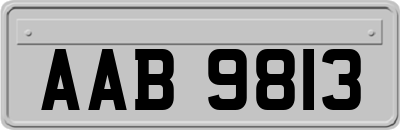 AAB9813