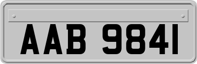 AAB9841