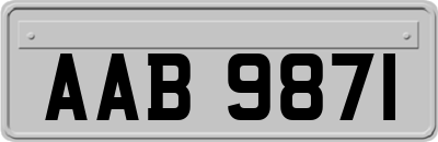 AAB9871