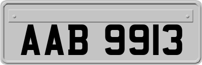 AAB9913