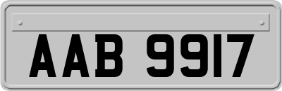 AAB9917