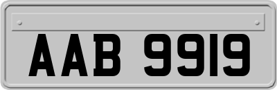 AAB9919