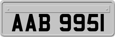 AAB9951