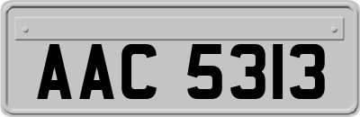 AAC5313