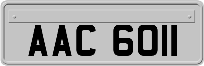 AAC6011