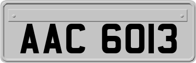 AAC6013